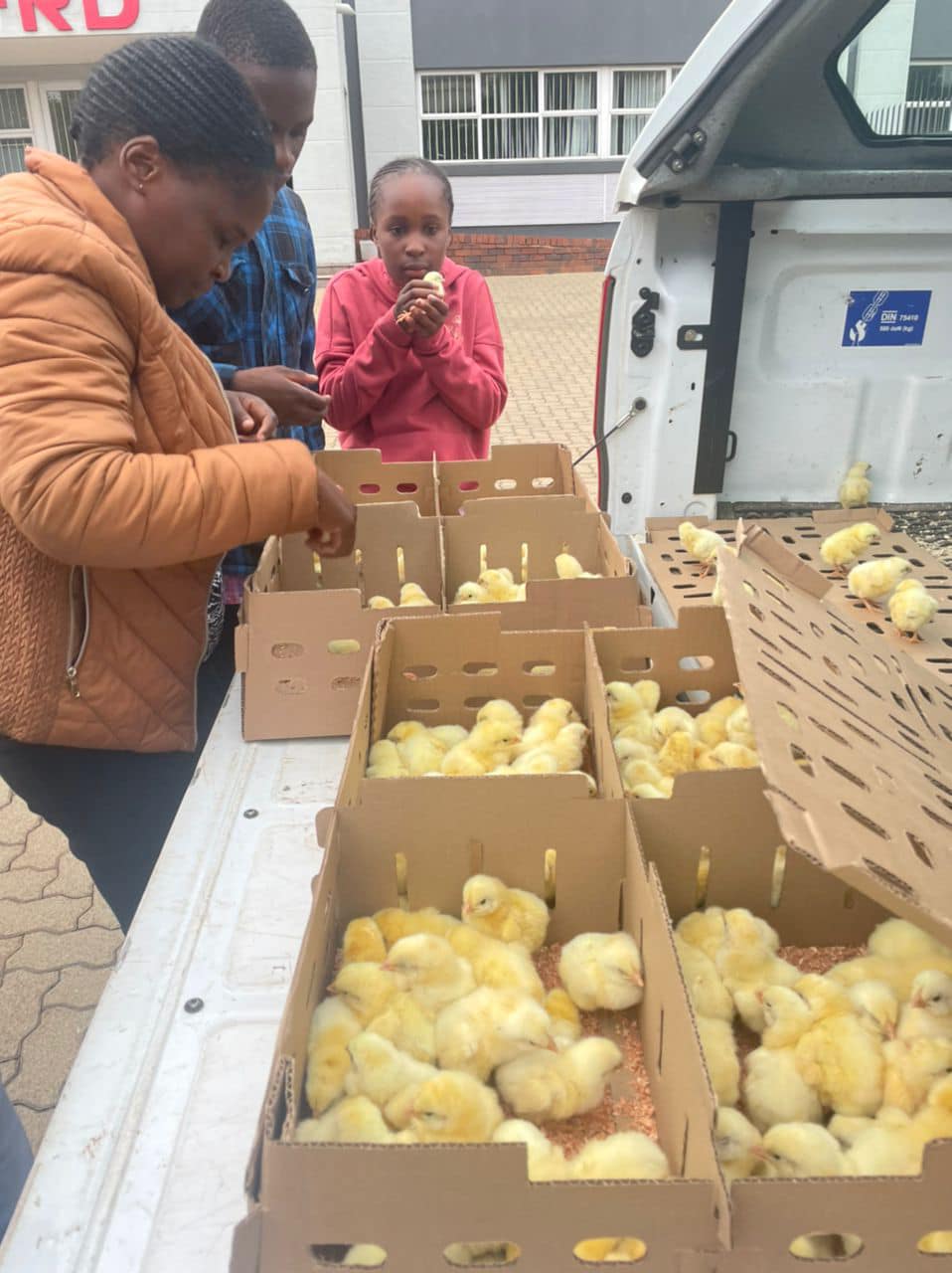  Testimonies/Reviews post thumbnail image