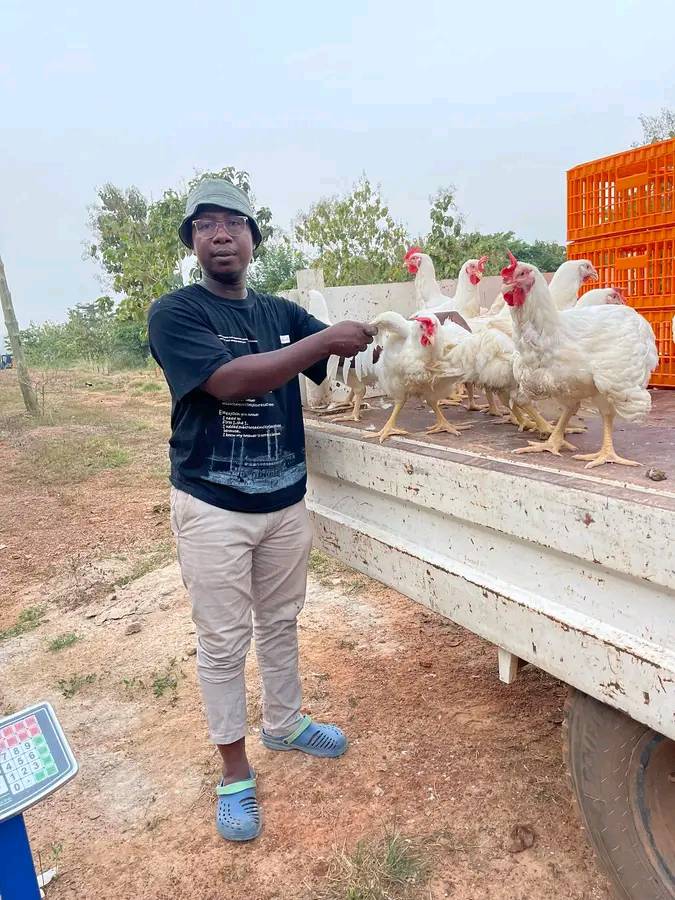 How2order post thumbnail image