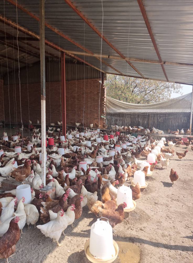 Layer combo deals post thumbnail image