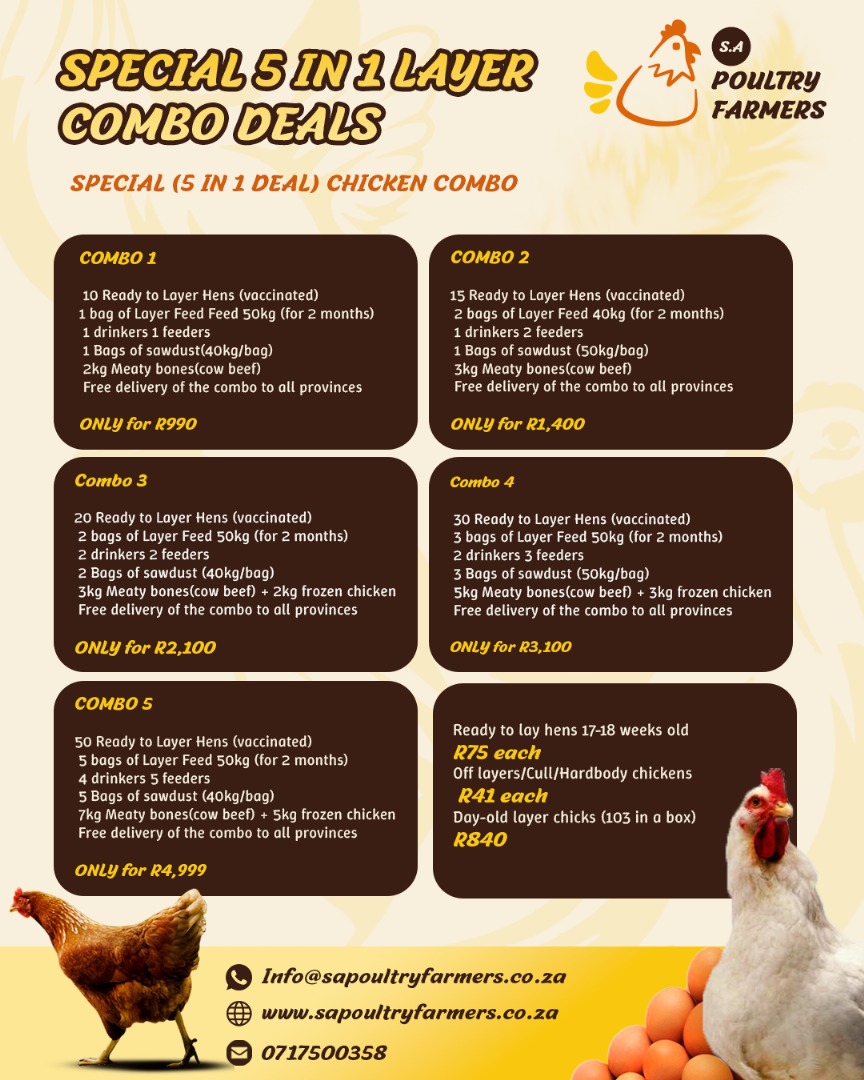 Layer combo deals post thumbnail image